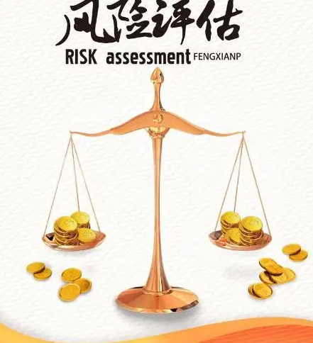 重大项目评估的程序有哪些？